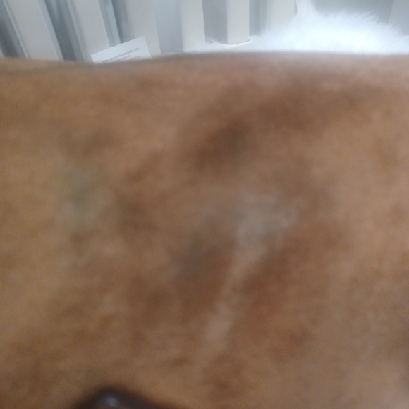 Authentic vintage Prada purse with some stains, mostly with good condition. - Picture 7 of 16